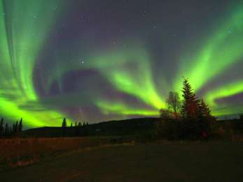 Ab Fairbanks: Polarlichter-Tour zum Murphy Dome