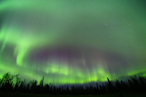 Desde Fairbanks: tour aurora boreal y Murphy Dome