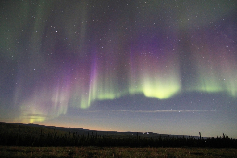 From Fairbanks: Northern Lights & Murphy Dome Tour