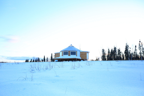 Fairbanks: Trineo tirado por perros a la luz de la luna, cena y aurora boreal