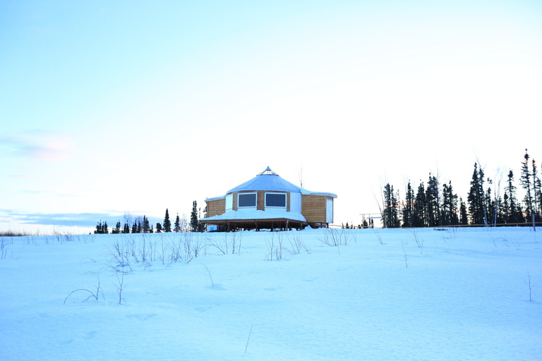 Fairbanks : Traîneau à chiens au clair de lune, dîner et aurores boréales