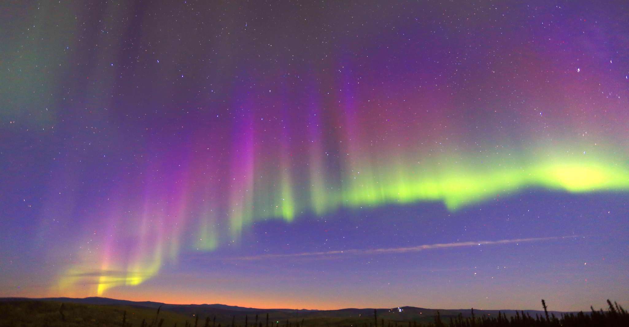 Fairbanks, Moonlight Dog Sled, Dinner & Northern Lights - Hizvo
