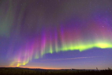 Fairbanks: Moonlight Dog Sled, Dinner, & Northern Lights