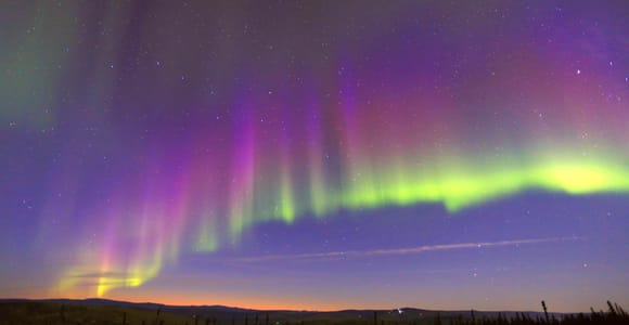 Fairbanks: Moonlight Dog Sled, Dinner & Northern Lights