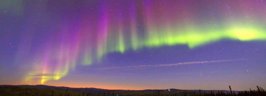 Fairbanks : Traîneau à chiens au clair de lune, dîner et aurores boréales