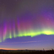 Fairbanks : Traîneau à chiens au clair de lune, dîner et aurores boréales
