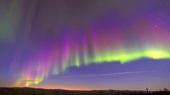 fairbanks moonlight dog sled dinner northern lights