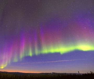 Fairbanks: Moonlight Dog Sled, Dinner & Northern Lights