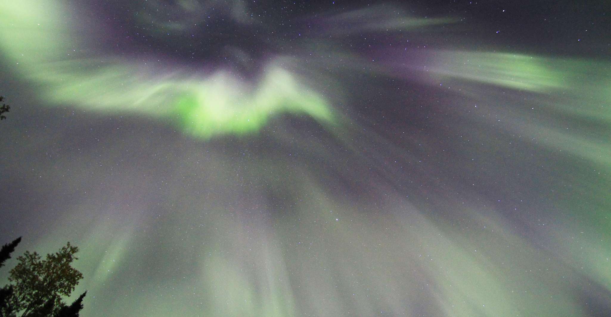 Fairbanks, Moonlight Dog Sled, Dinner & Northern Lights - Hizvo