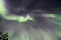 Fairbanks, Moonlight Dog Sled, Dinner & Northern Lights - Hizvo