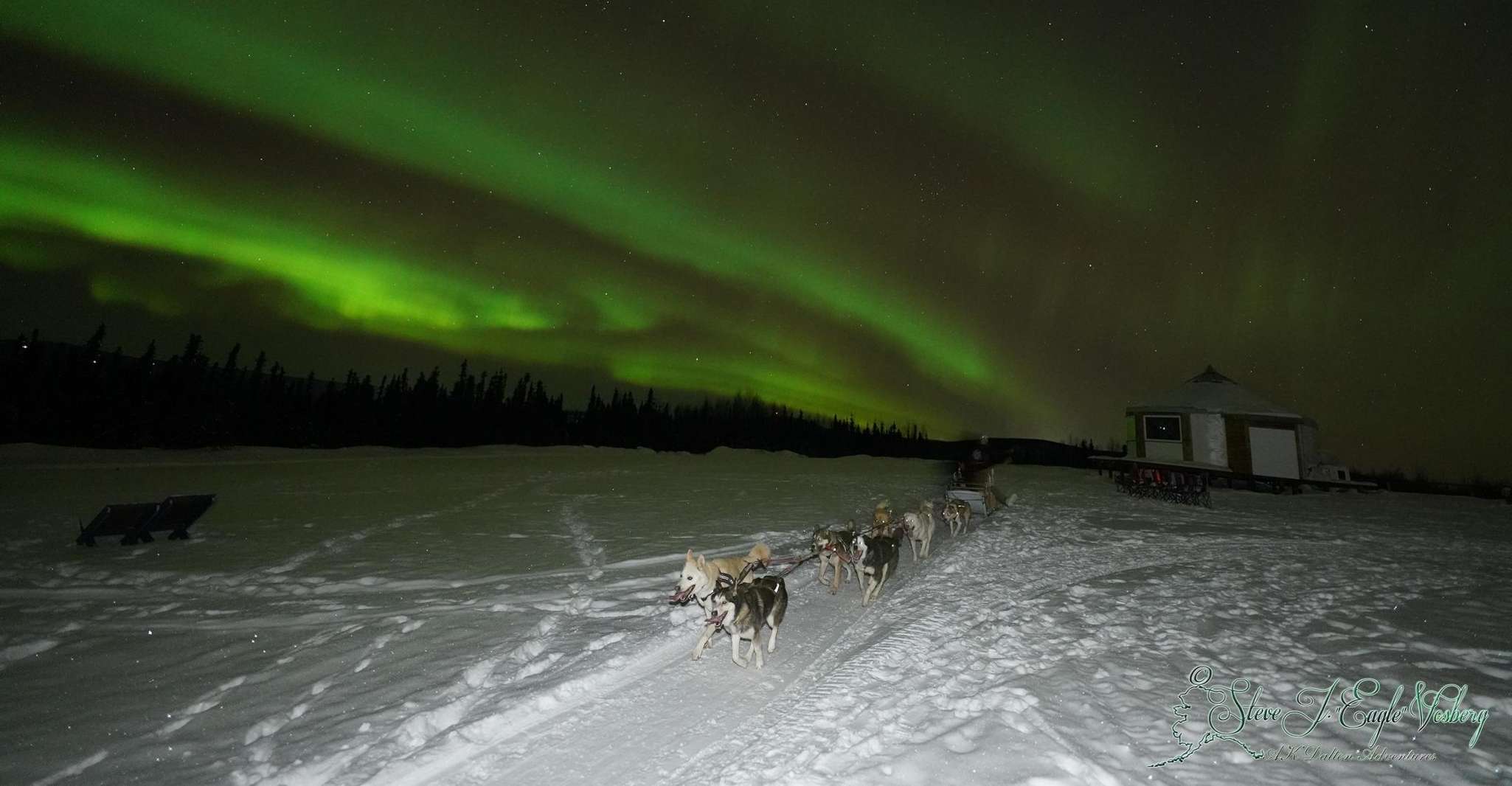 Fairbanks, Moonlight Dog Sled, Dinner & Northern Lights - Hizvo