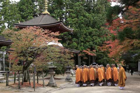 from osaka mt. koya train tickets lunch at the temple