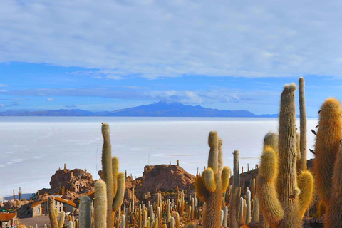 From San Pedro de Atacama: 3-Day Uyuni Salt Flats Tour