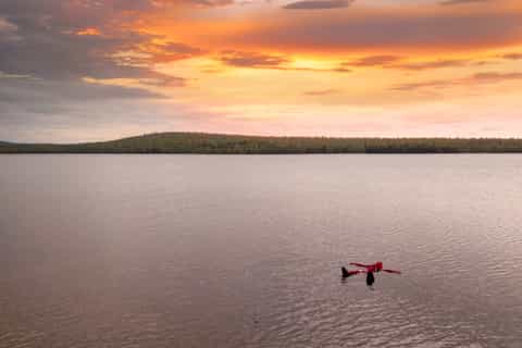 From Rovaniemi: Midnight Sun Forest Lake Float