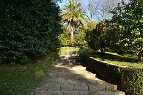 porto city discovery game