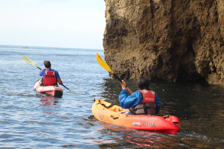 Desde Lagos: costa y cuevas del Algarve en kayakOpción estándar