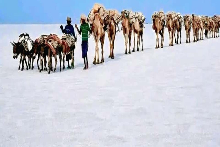 Mekele: 3-Day Danakil Depression Tour with Camping
