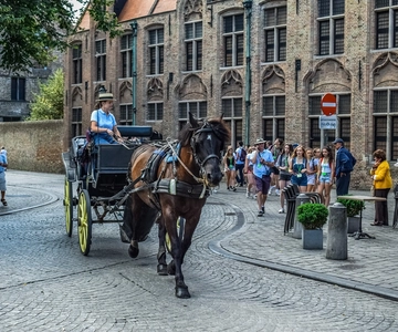 From Amsterdam: Private Sightseeing Tour to Bruges