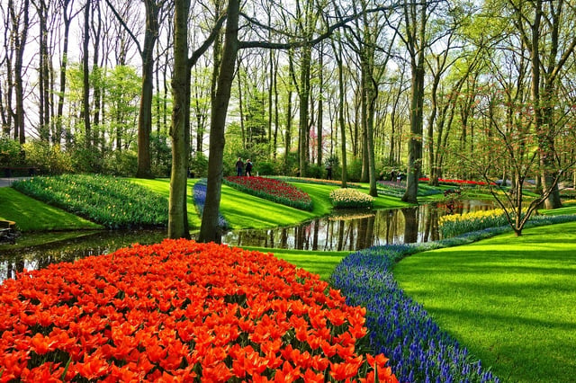 Visite des jardins de Keukenhof et de l&#039;expérience des tulipes au départ d&#039;Amsterdam