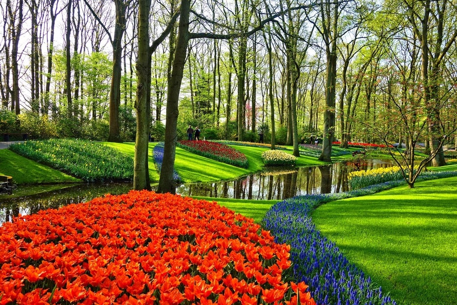 Visite des jardins de Keukenhof et de l&#039;expérience des tulipes au départ d&#039;Amsterdam