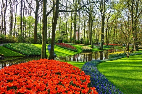 Jardines Keukenhof y Tulip Tour desde Amsterdam