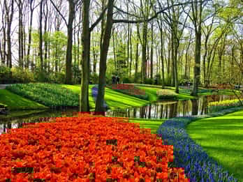 Ab Amsterdam: Keukenhof-Gärten und Tulpen-Tour Ab Amsterdam: Keukenhof-Gärten und Tulpen-Tour