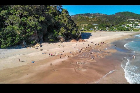 Auckland: Hidden Gem Coromandel& Cathedral Cove Private Day