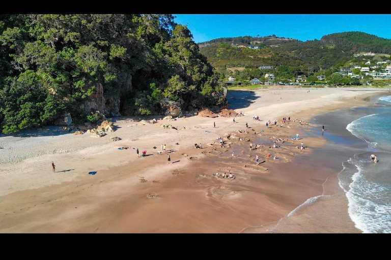 Auckland: Hidden Gem Coromandel& Cathedral Cove Private Day