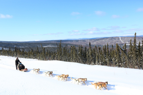 Fairbanks: Aventura invernal de 1 hora en trineo tirado por perros en AlaskaRecogida y regreso al hotel