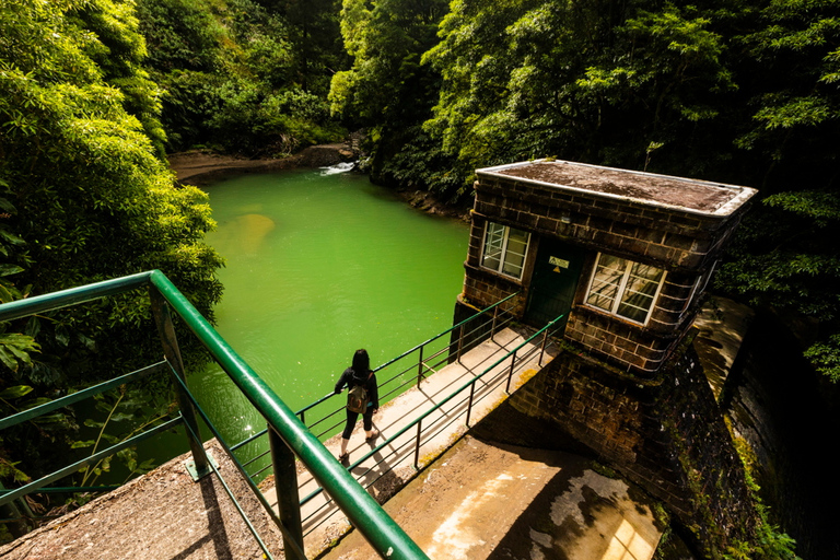 Ponta Delgada: Joyas ocultas de São Miguel Tour de día completo en furgoneta