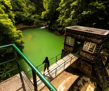 Ponta Delgada: Hidden Gems of São Miguel Full-Day Van Tour