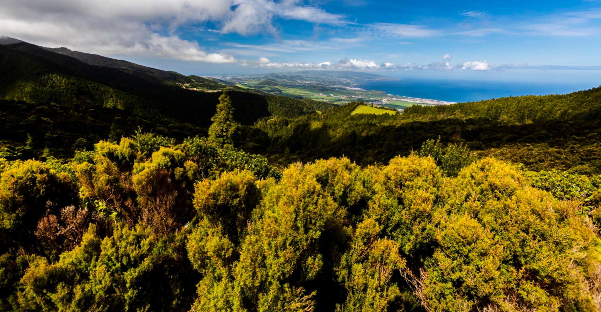 Ponta Delgada, joyas ocultas de São Miguel - Hizvo