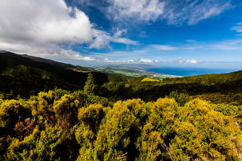 Ponta Delgada: excursion d'une journée aux joyaux cachés de l'île de São Miguel