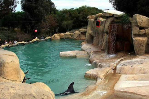 From Monastir & More: Friguia Wildlife Park with Entry From Sousse : Friguia Wildlife Park