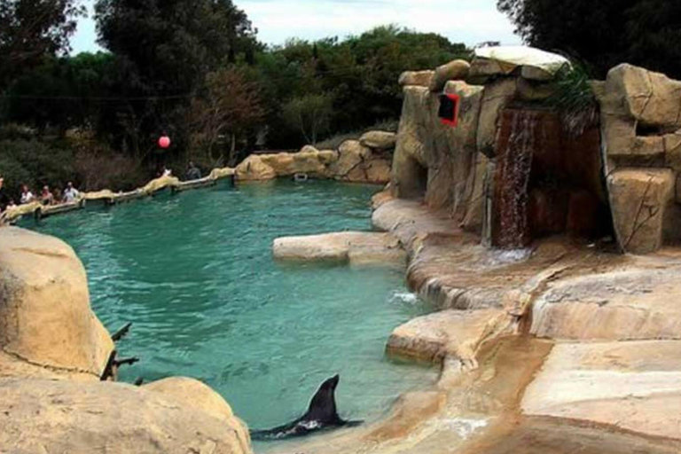 From Monastir & More: Friguia Wildlife Park with Entry From Sousse : Friguia Wildlife Park