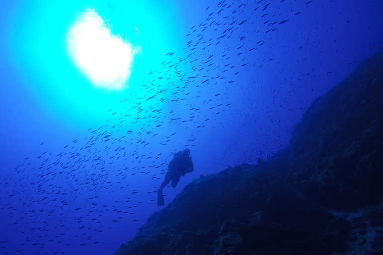Santorini: esperienza di immersione subacquea per principianti