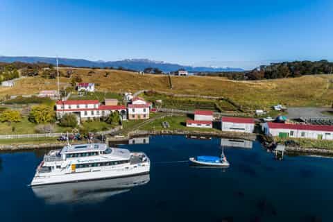 Ushuaia: Full-Day Penguin Watching & Estancia Harberton Tour