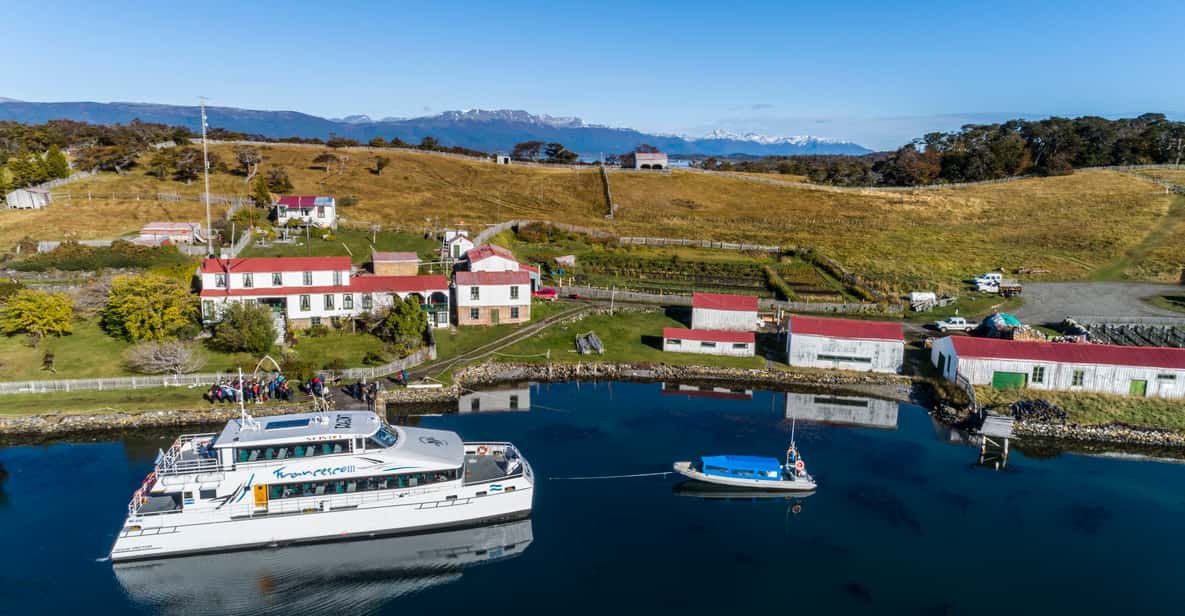 Ushuaia: Full-Day Penguin Watching & Estancia Harberton Tour