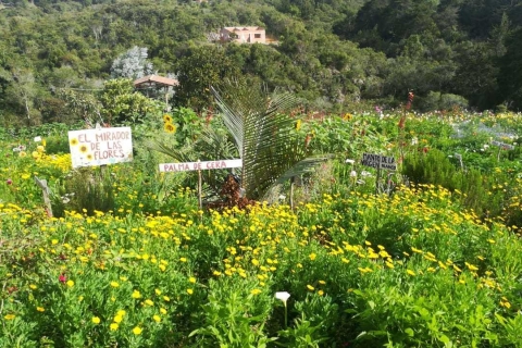 Medellín: Blumenfarm & Silletero Geschichte Tour