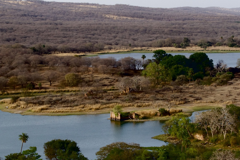 7 días en la india por el Taj Mahal con safari en ranthambore por el tigreExcursión sólo con alojamiento, coche y guía