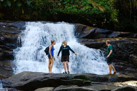 Paraty: Jungle Waterfall and Cachaça Distillery Jeep Tour