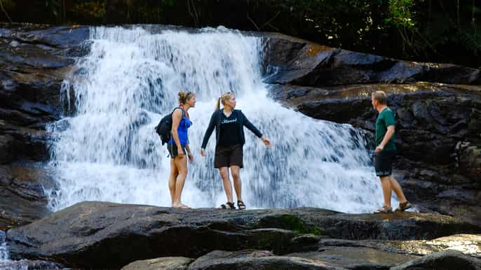 paraty jungle waterfall and cachaça distillery jeep tour