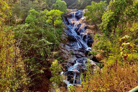 Chiang Mai : La culture Karen, le café et la nature