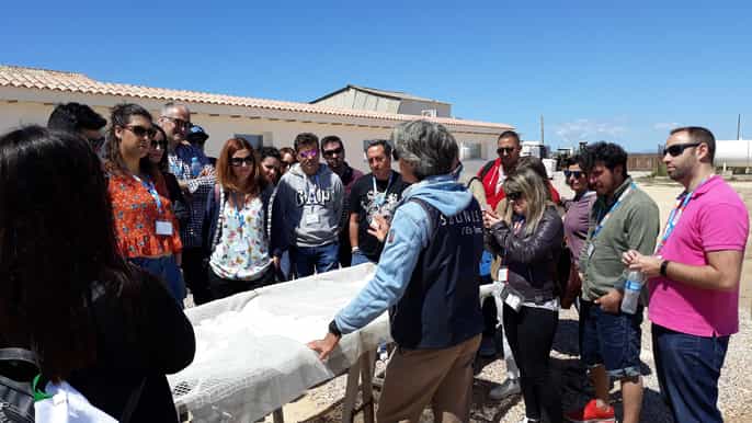mallorca tour en auto a las marismas y acantilados del sur