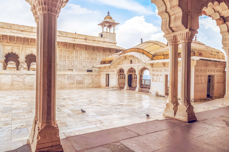 Taj Mahal y Agra: tour privado al amanecer desde DelhiTour privado con tasas de entrada