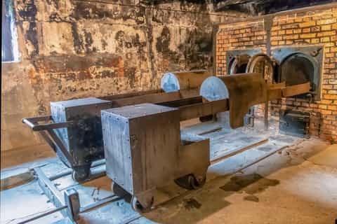 From Krakow: Auschwitz-Birkenau Group Guided Tour