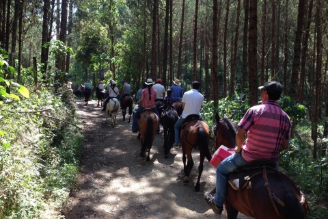 Medellin : Promenades à chevalOption standard