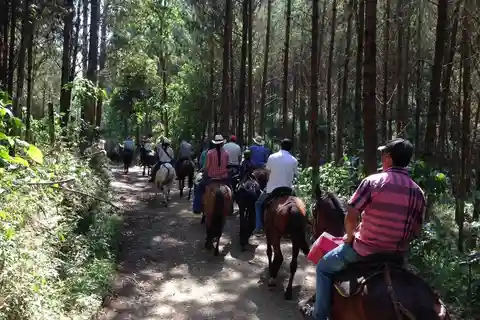 From Medellin: Guided Horseback Riding Tour in Nature