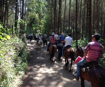 From Medellin: Guided Horseback Riding Tour in Nature