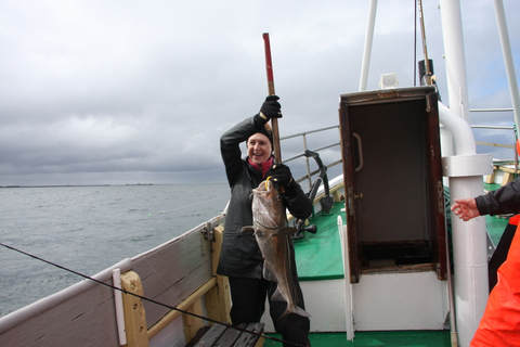 De Reykjavik: Excursão gourmet de pesca marítima